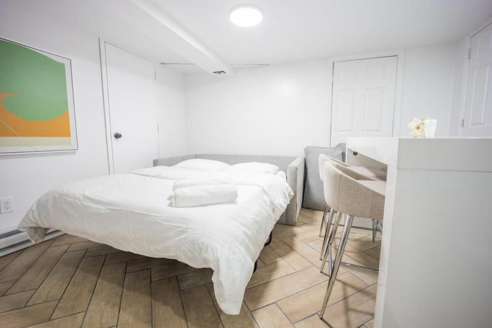 Retro 2 bedroom basement APT with free street parking Apartment in New Rochelle