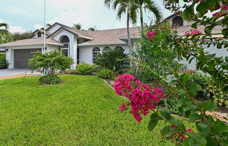 Spring, Garden, Garden view