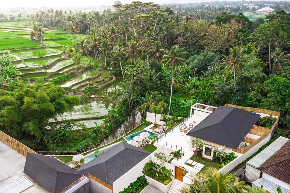 Property building, Bird's eye view