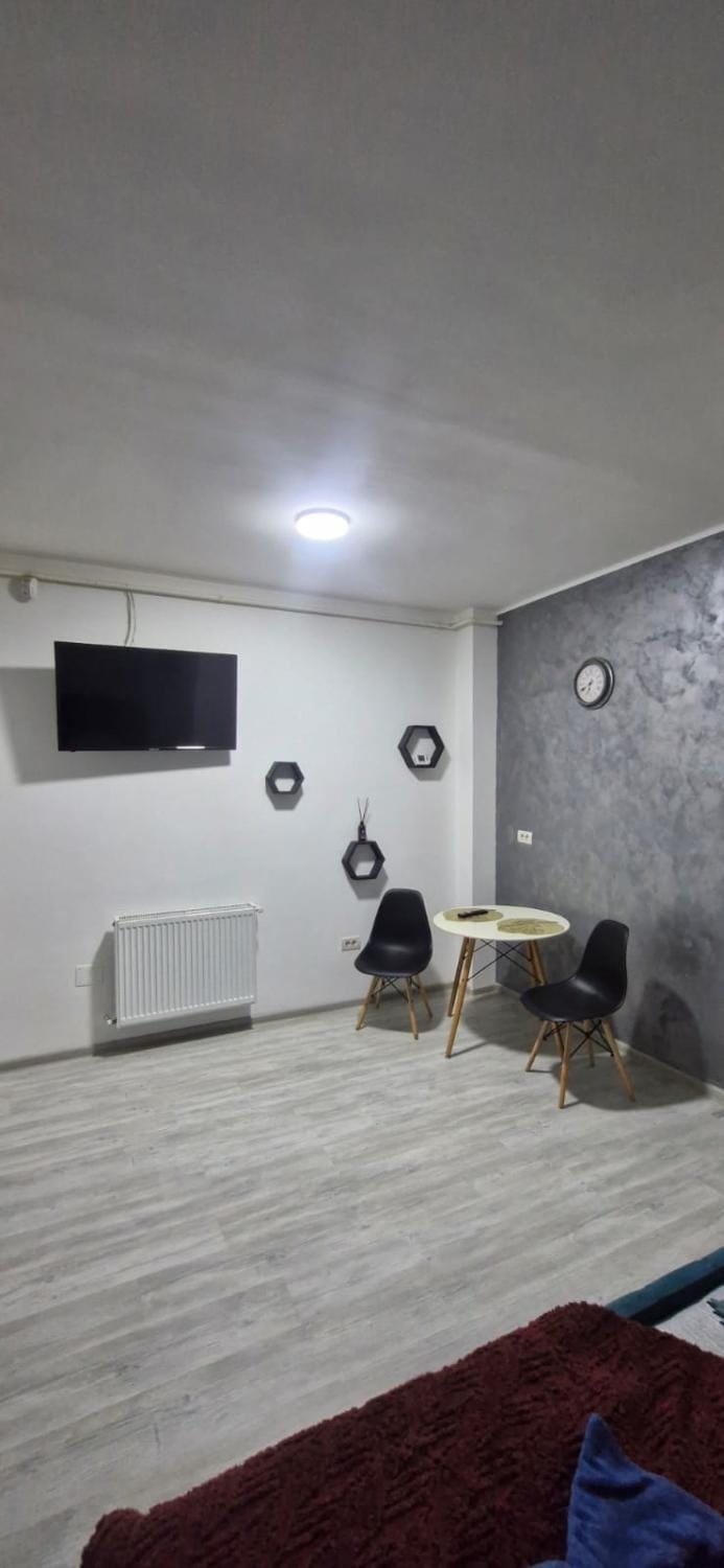 apartament 1 camera Apartment in Romania