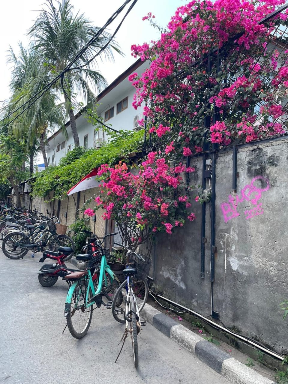 Spring, Day, Cycling