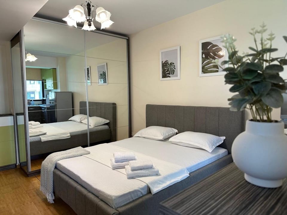 Copou Writers Nest Accommodation Hospitals Area Apartment in Romania