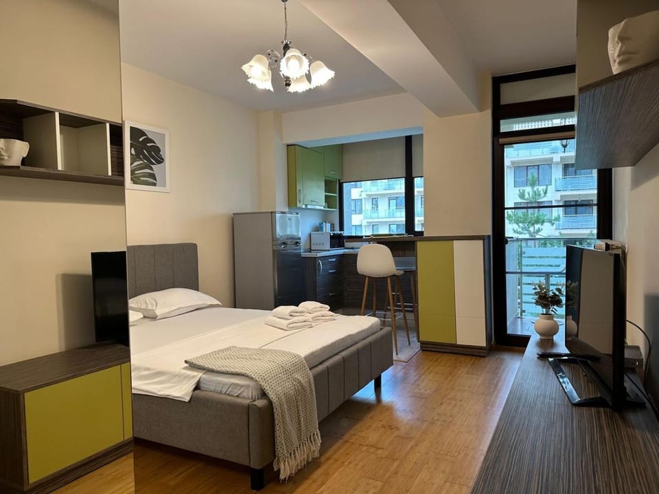 Copou Writers Nest Accommodation Hospitals Area Apartment in Romania