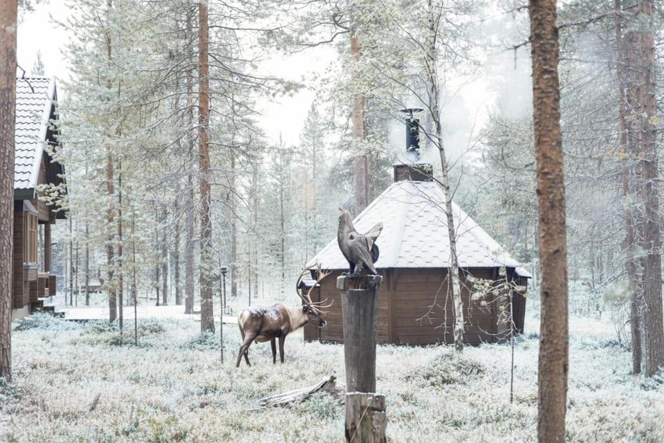 Koto Chalet Ski-In Ski-Out Hosted by Hygge Host Apartment in Rovaniemi