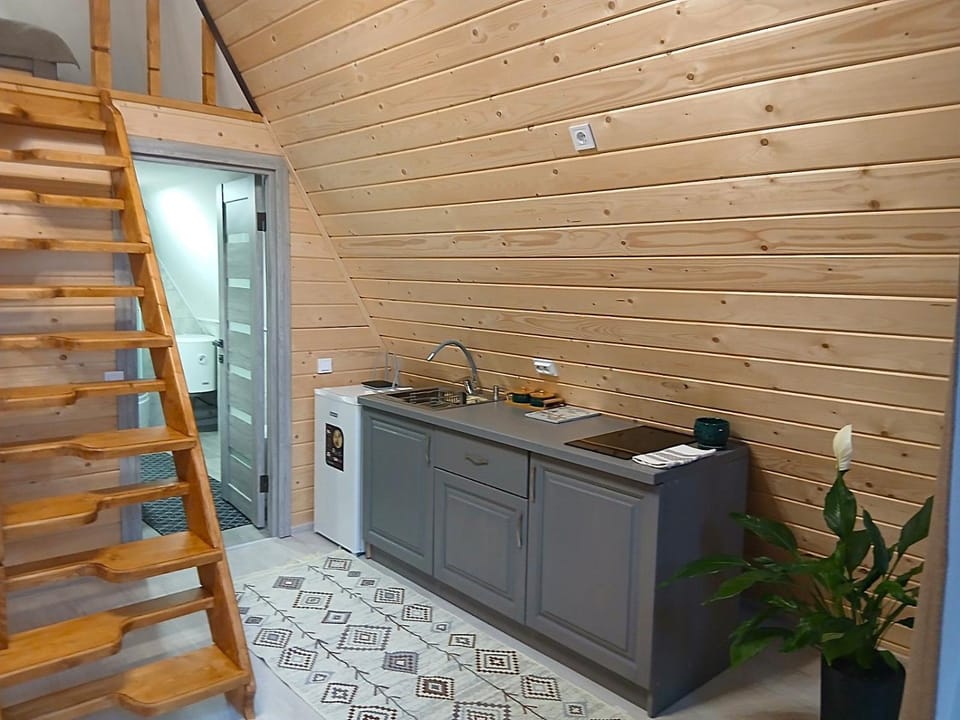 Kitchen or kitchenette, Photo of the whole room