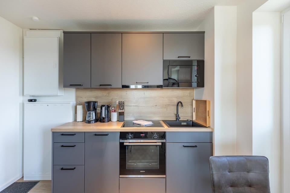 Apartmenthaus vor den Halligen Deichidyll de Luxe Apartment in Nordstrand