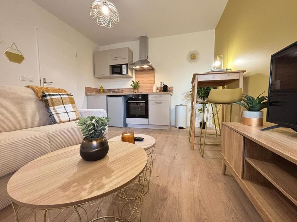 L'Étoile dorée avec Parking Apartment in Valence