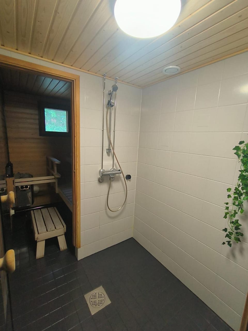 Arctic Aurora Apartment Apartment in Rovaniemi