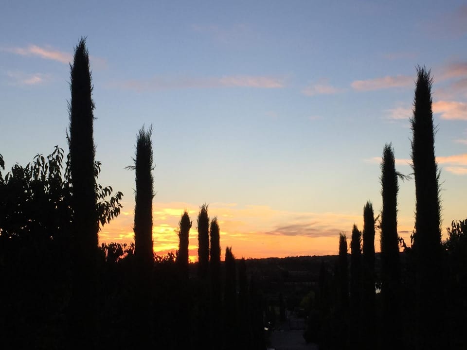 Summer, On site, Sunset