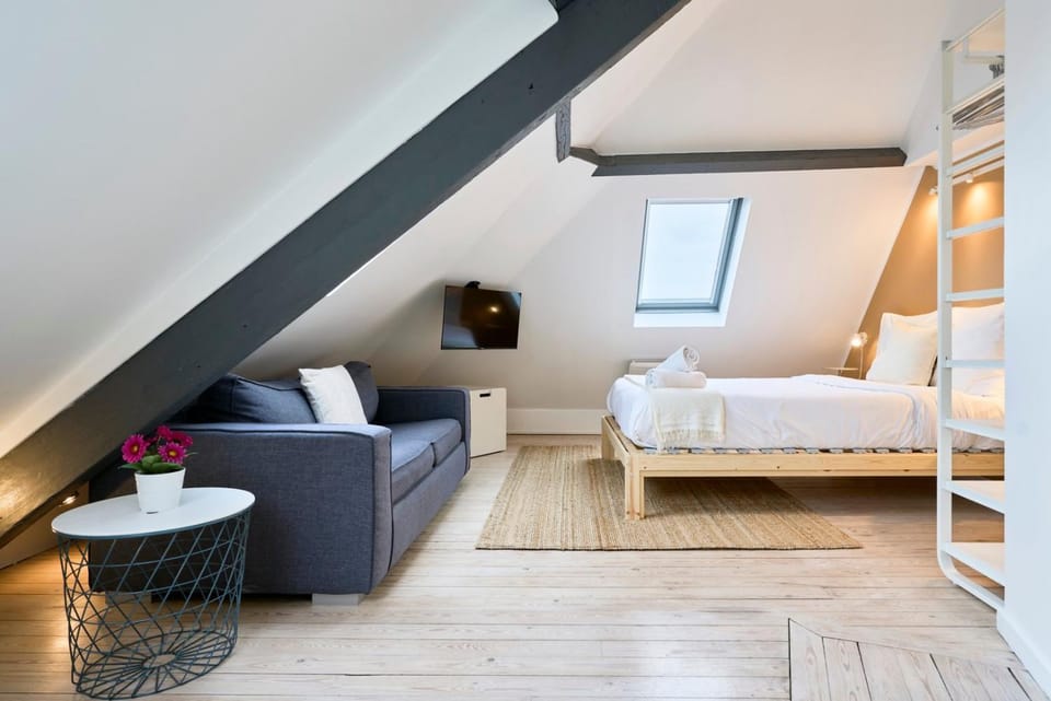 Studio mansardé à deux pas de la Citadelle Apartment in Lille