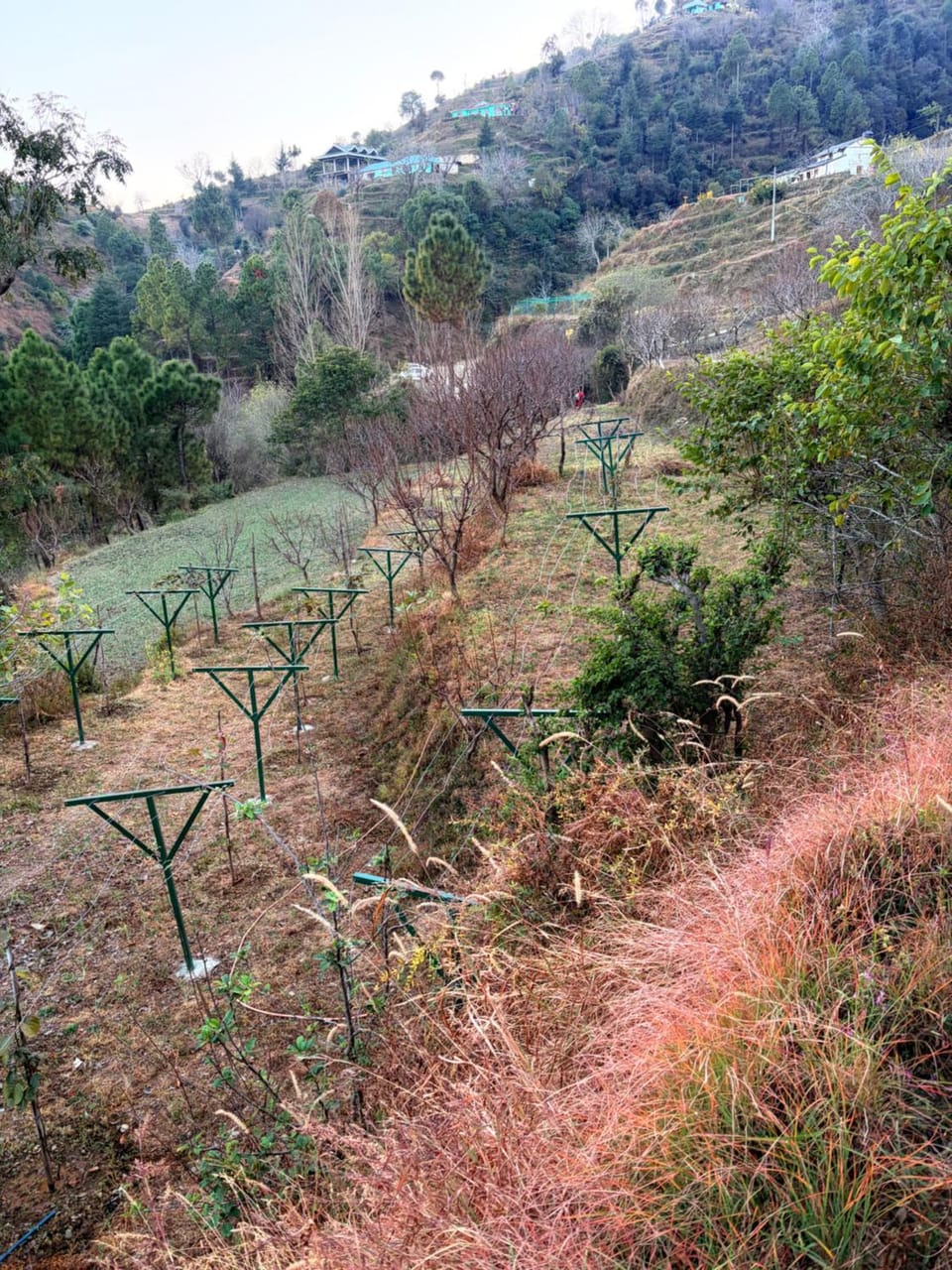 Arameh-A Boutique Orchard Retreat Near Kasauli House in Himachal Pradesh