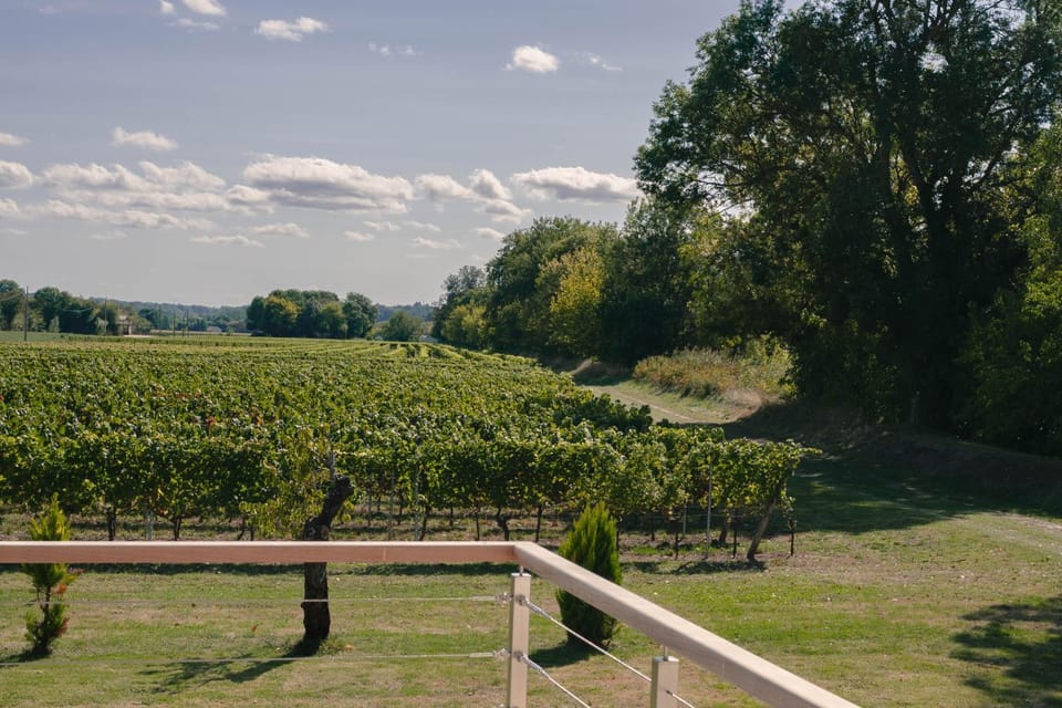 Garden, Garden view