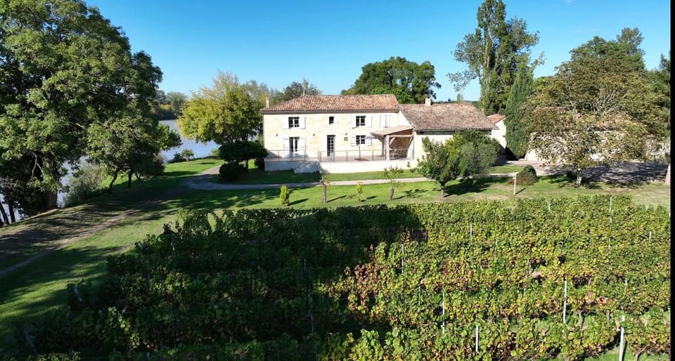 Property building, Garden, Garden view