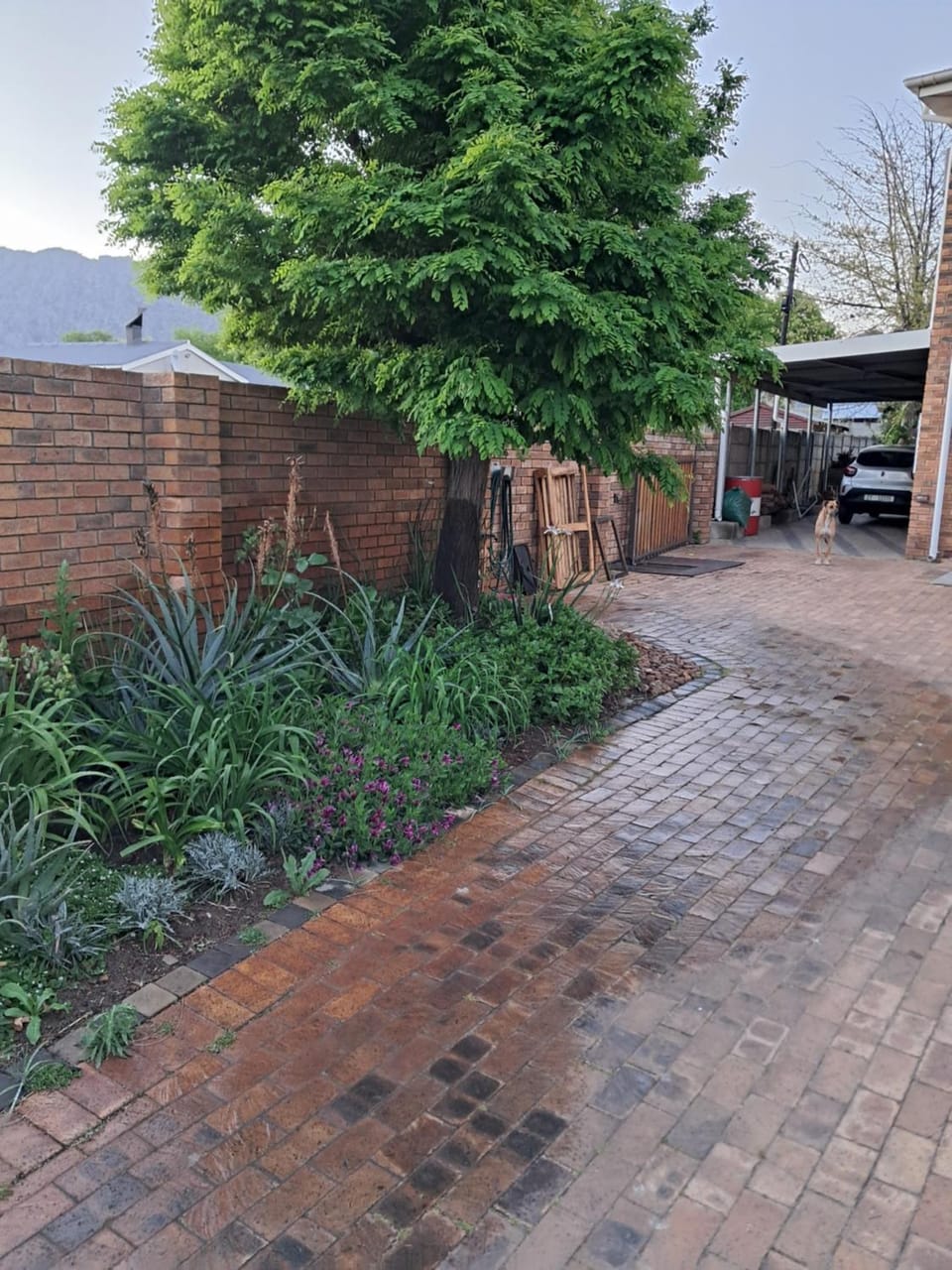 Coco 's Hamlet Flatlet Apartment in Western Cape