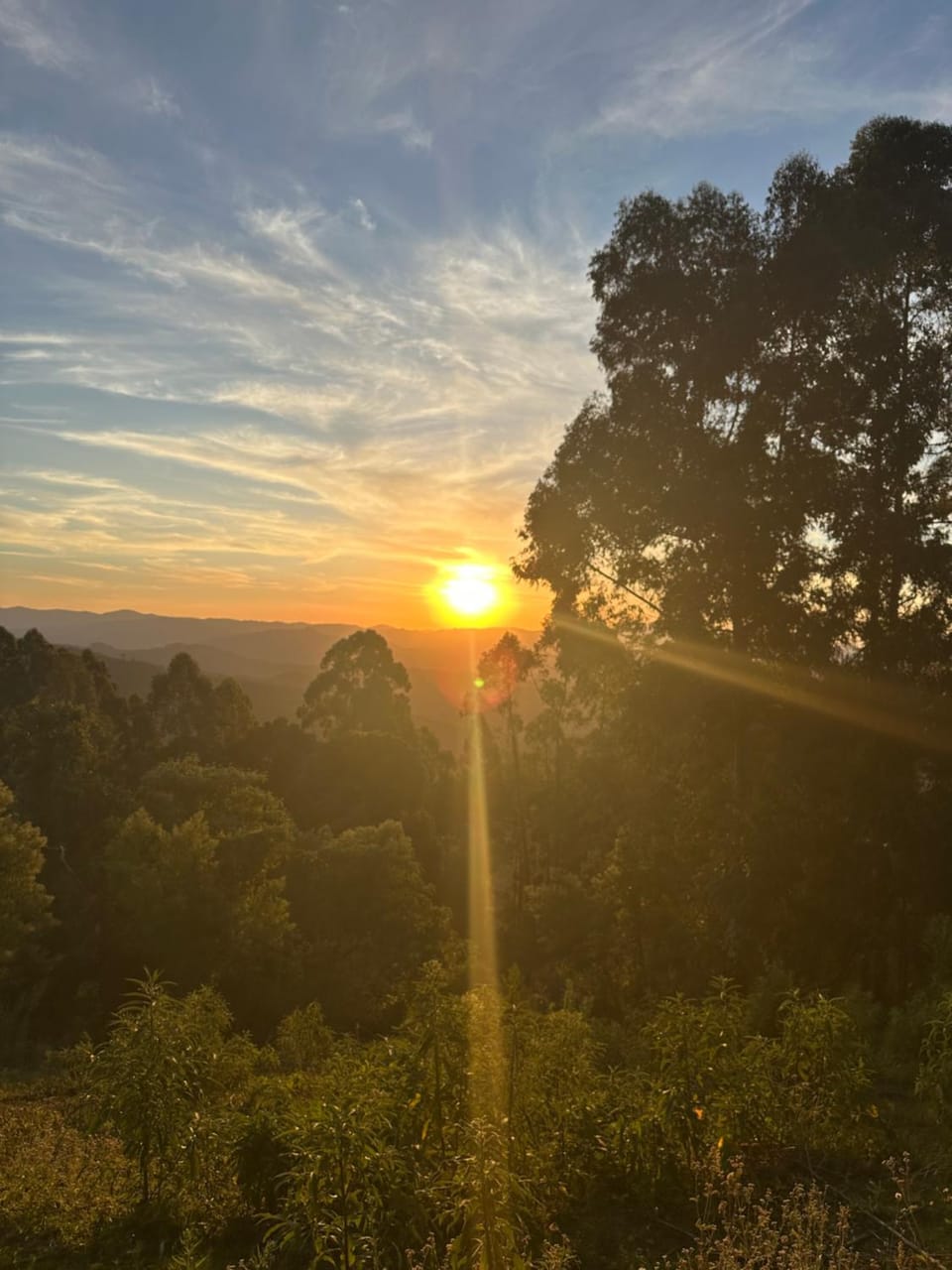 Natural landscape, Sunrise, Sunset