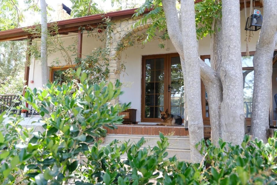 Atlantis Home House in İzmir Province