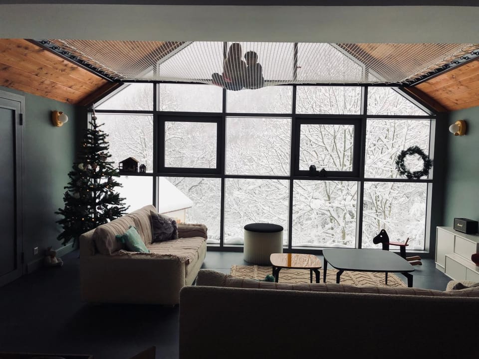 Bird's eye view, Living room, Mountain view