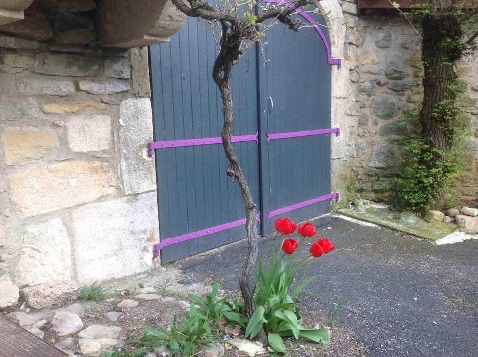 CARDABELLE maison authentique à louer House in Occitanie