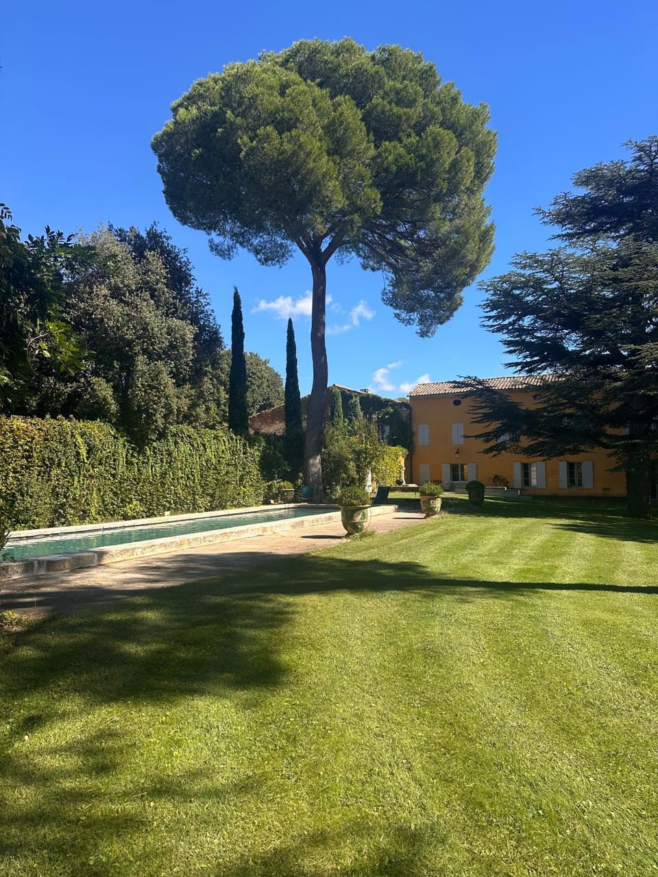 Property building, Spring, Day, Natural landscape, Garden, Garden view