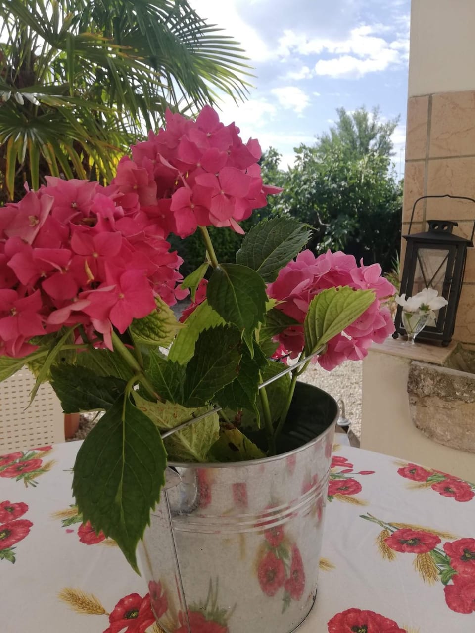 Patio, Spring, Garden
