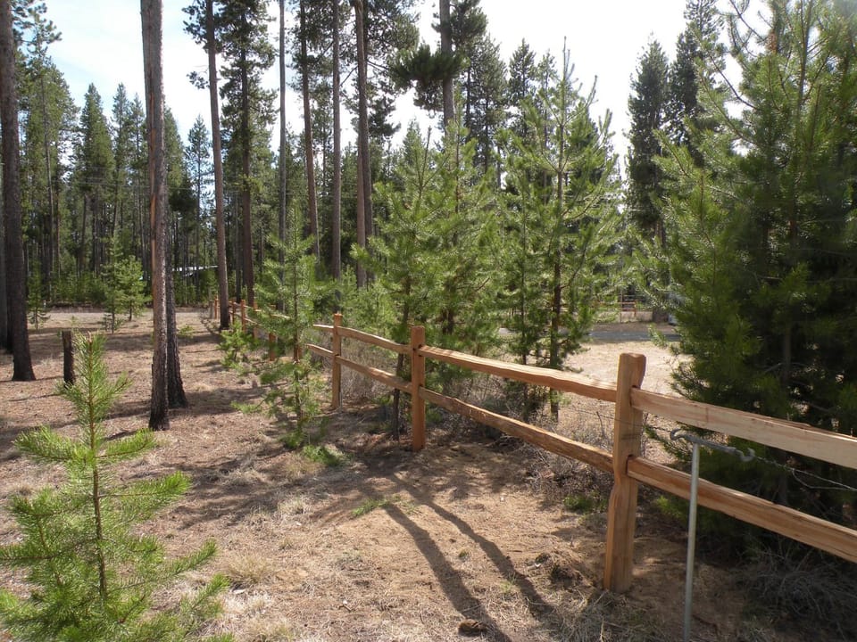 Natural landscape, On site