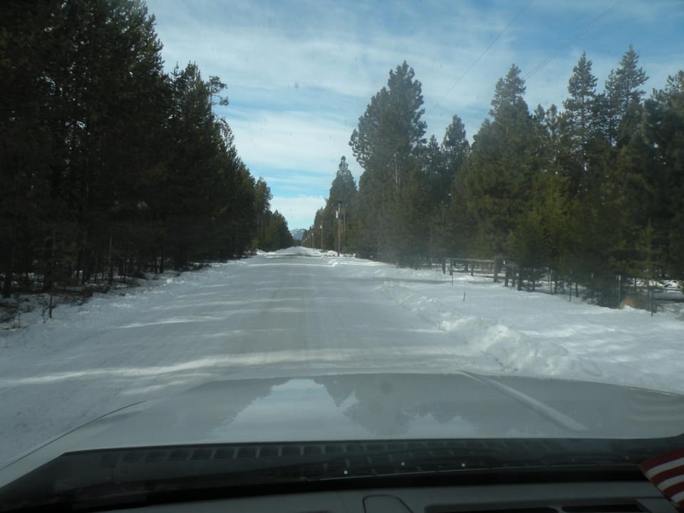 Winter