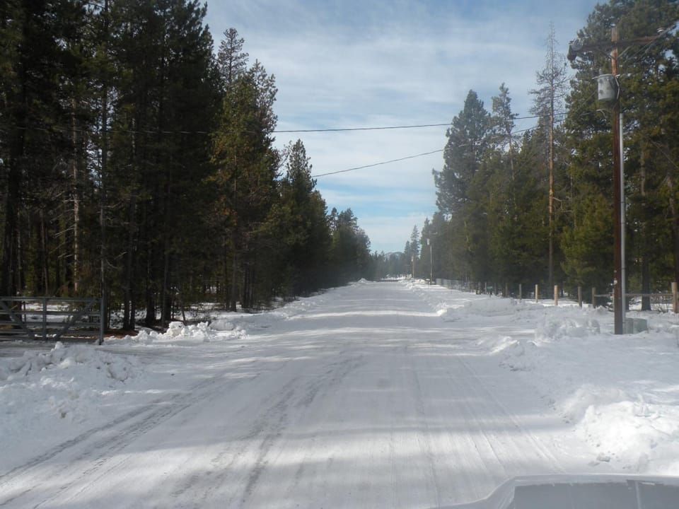 Natural landscape, Winter