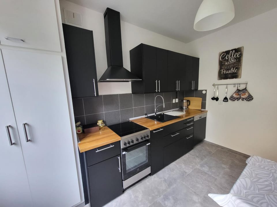 Kitchen or kitchenette, dishwasher, oven, stove