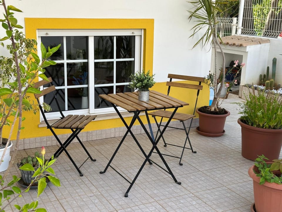 Patio, Day, Garden, Garden
