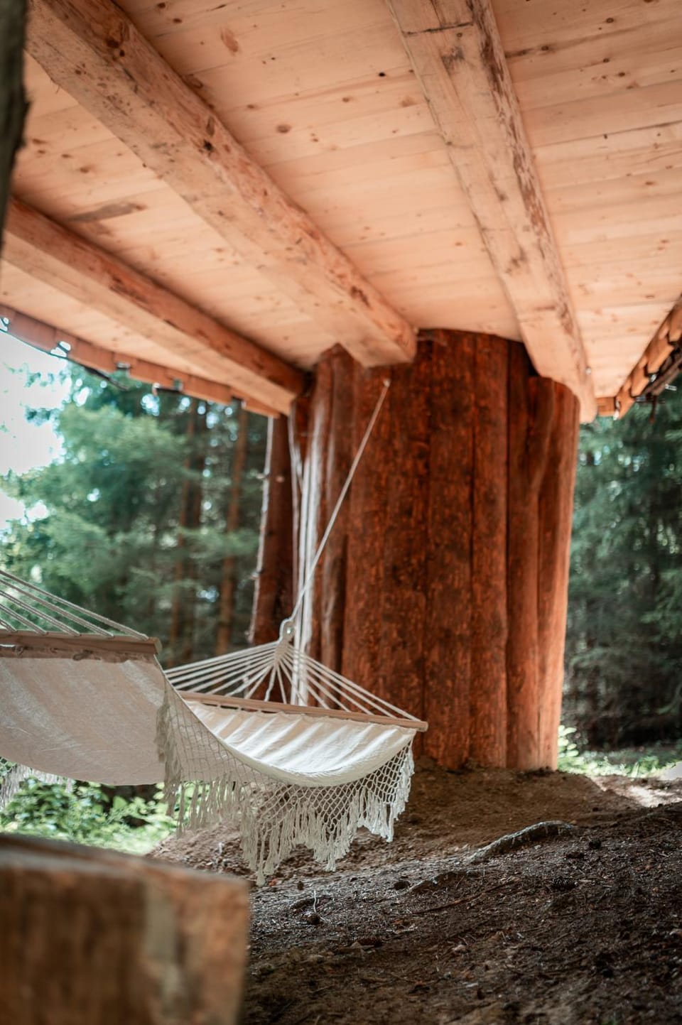 Veža v korunách stromov Luxury tent in Slovakia