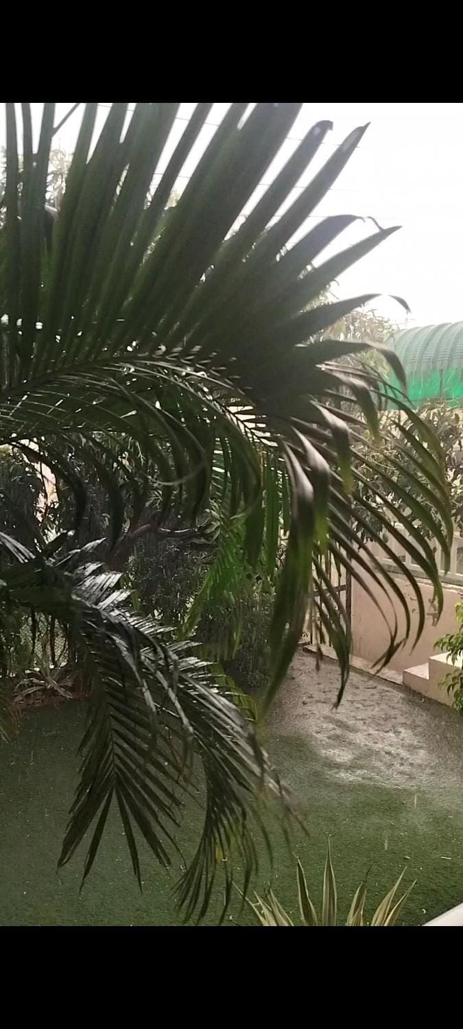 Guest house Bungalow Villa in Punjab, India