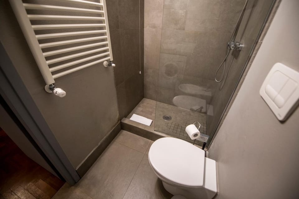 Shower, Toilet, Bathroom, towels