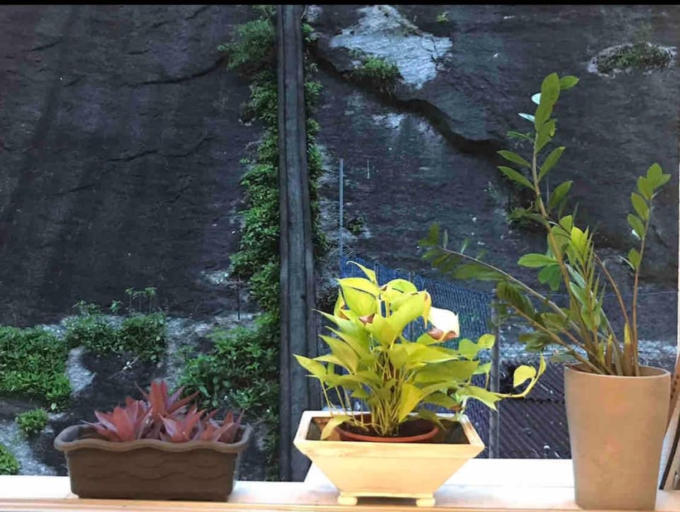 115 2Qs · Zara Home 2 Bed Flat Flamengo Apartment in Rio de Janeiro