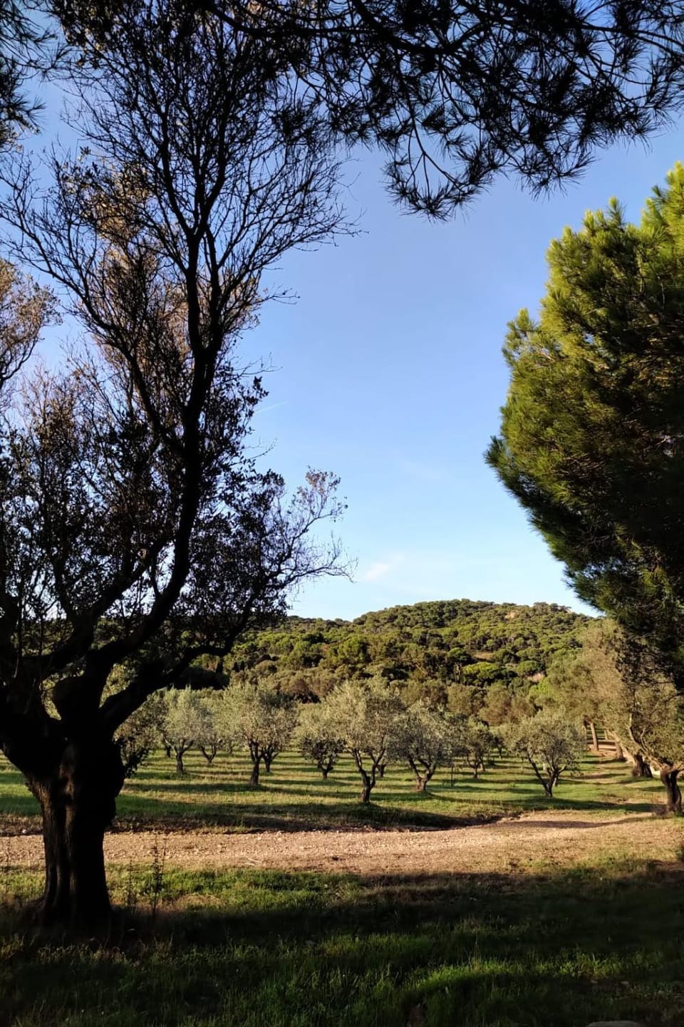 Natural landscape, View (from property/room)