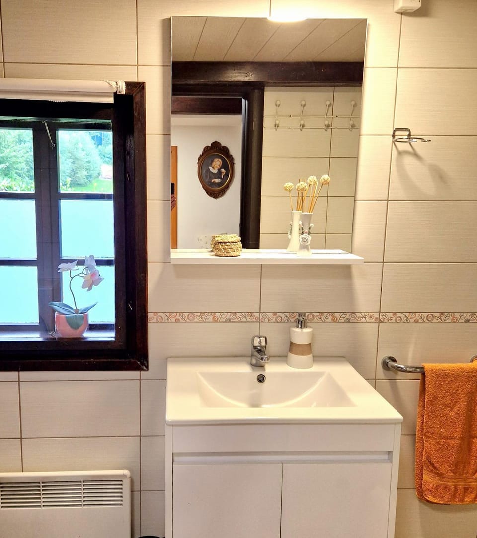 Shower, Toilet, Bathroom, bidet, heating