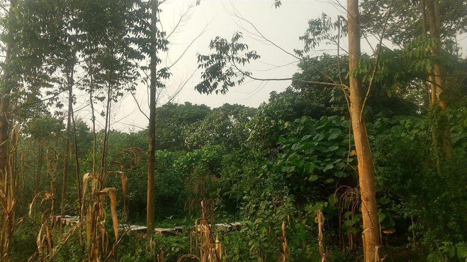 Nature flows Eco-Farm cottage & campsite Campground/ 
RV Resort in Uganda