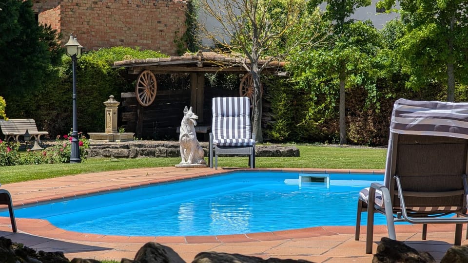 Patio, Day, Garden, Garden view, Pool view, Swimming pool, Swimming pool, sunbed