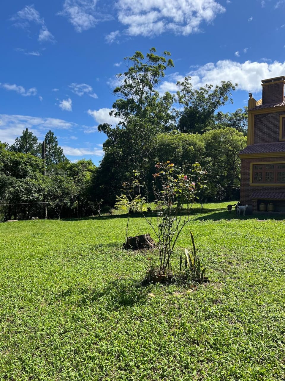 Natural landscape, Garden, Garden view