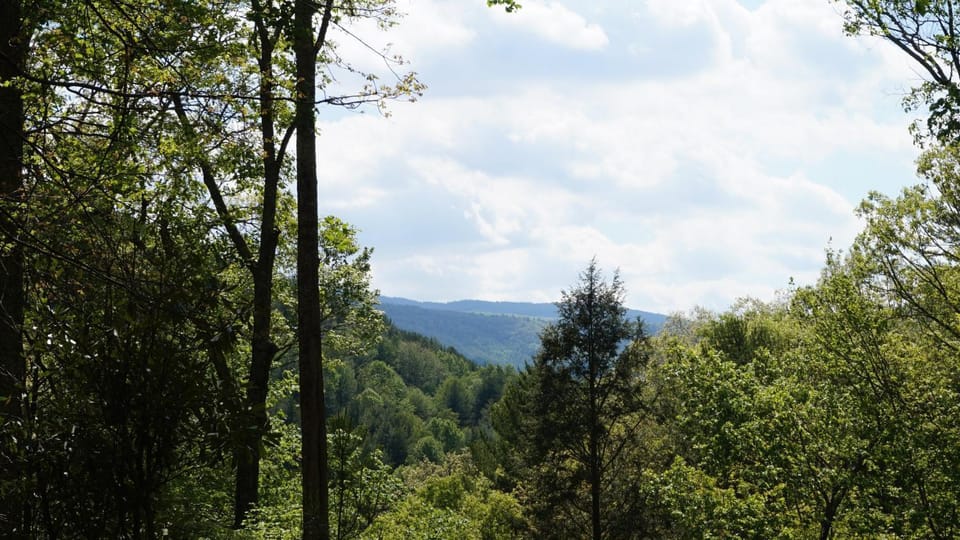 1 Sweet Seclusion House in Brushy Fork