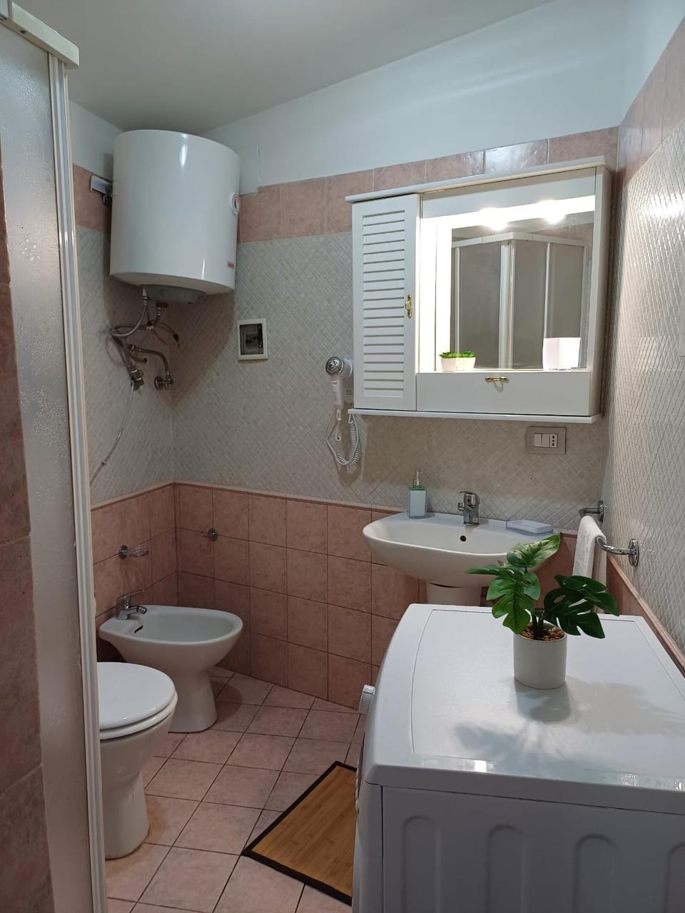 Shower, Bathroom, bidet, washing machine