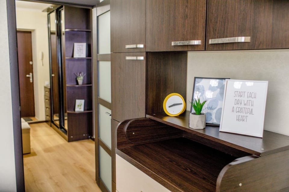 Novomestenskaya street Apartment in Ukraine