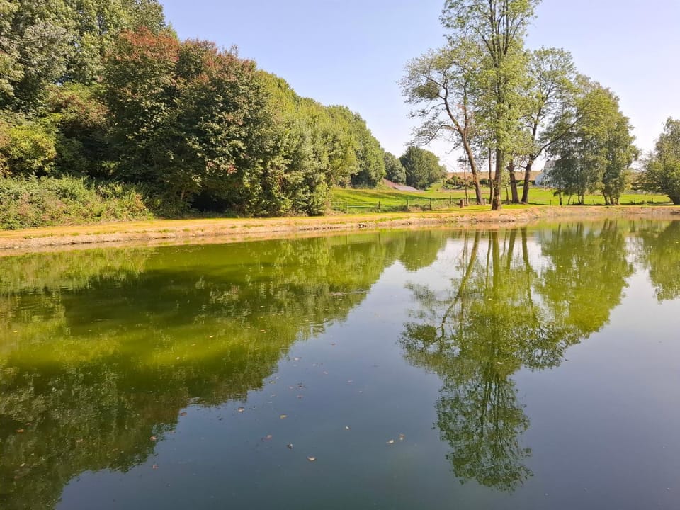 Natural landscape