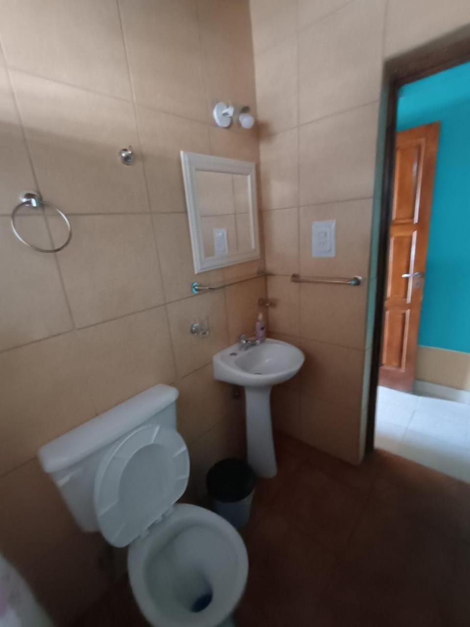 Dpto Mario Apartment in Uspallata