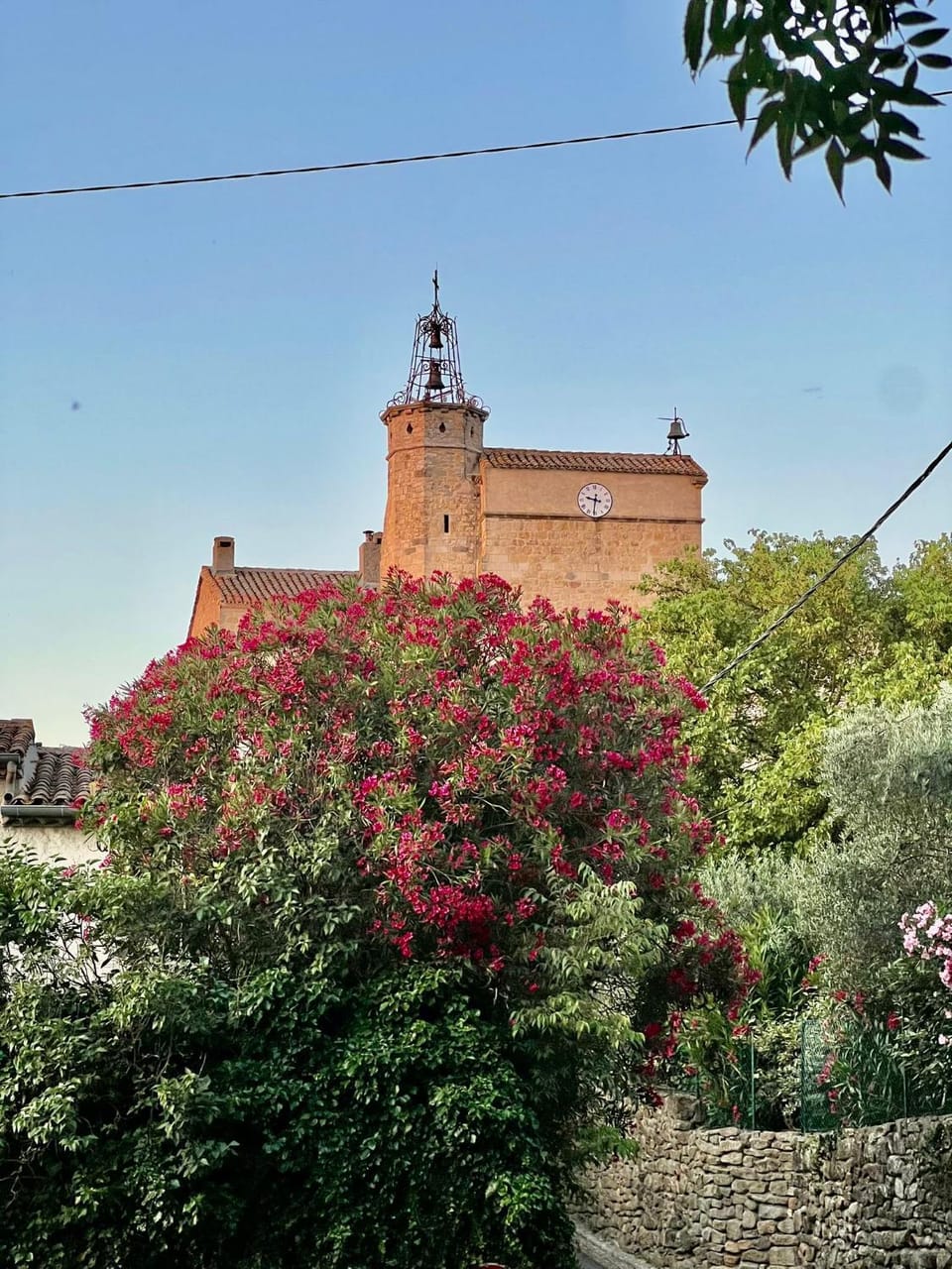 Garden, Garden view