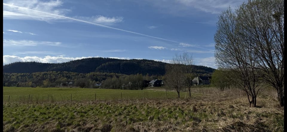 Natural landscape