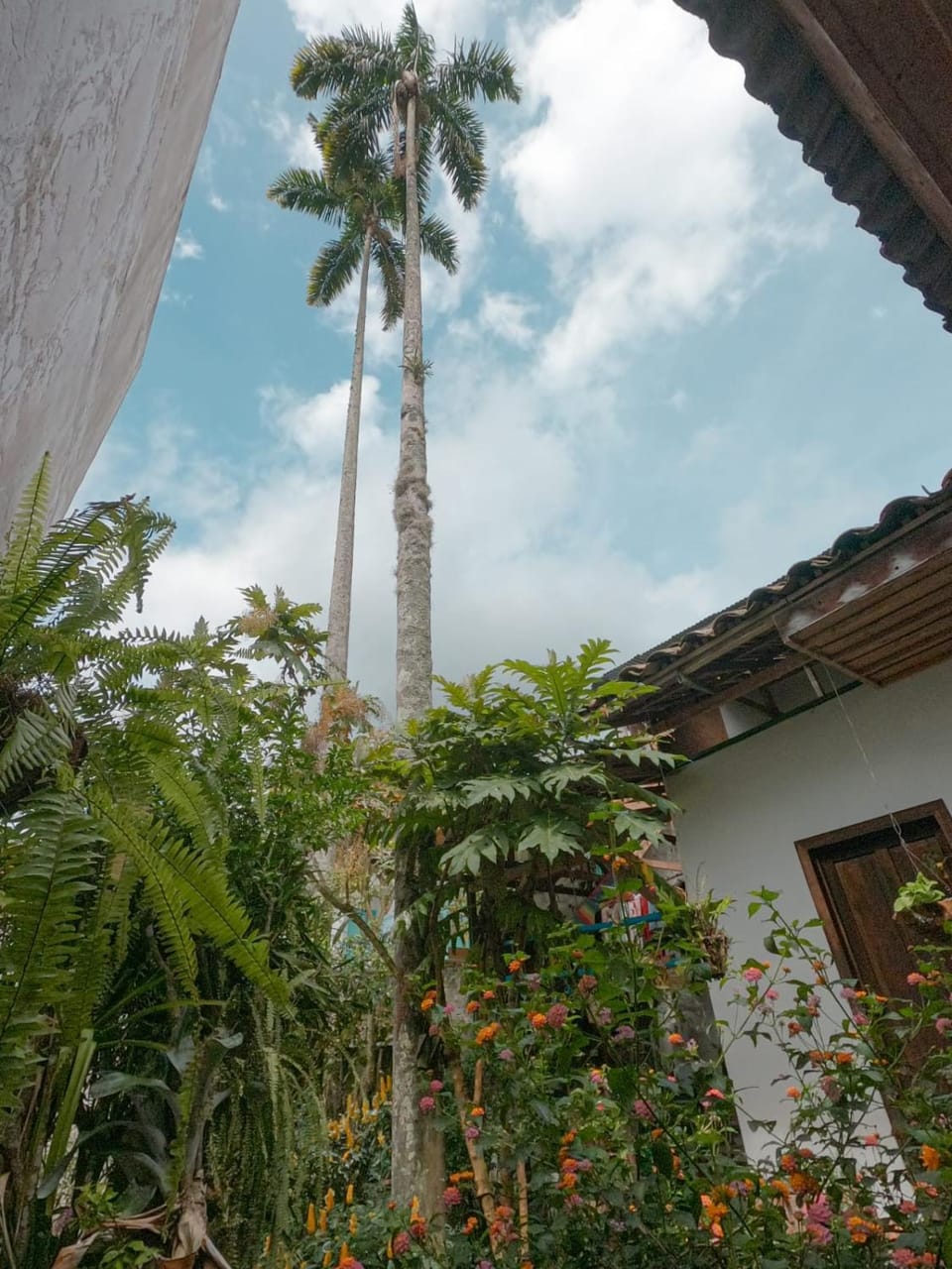 La pequeña casa Bed and Breakfast in Quindio, Colombia