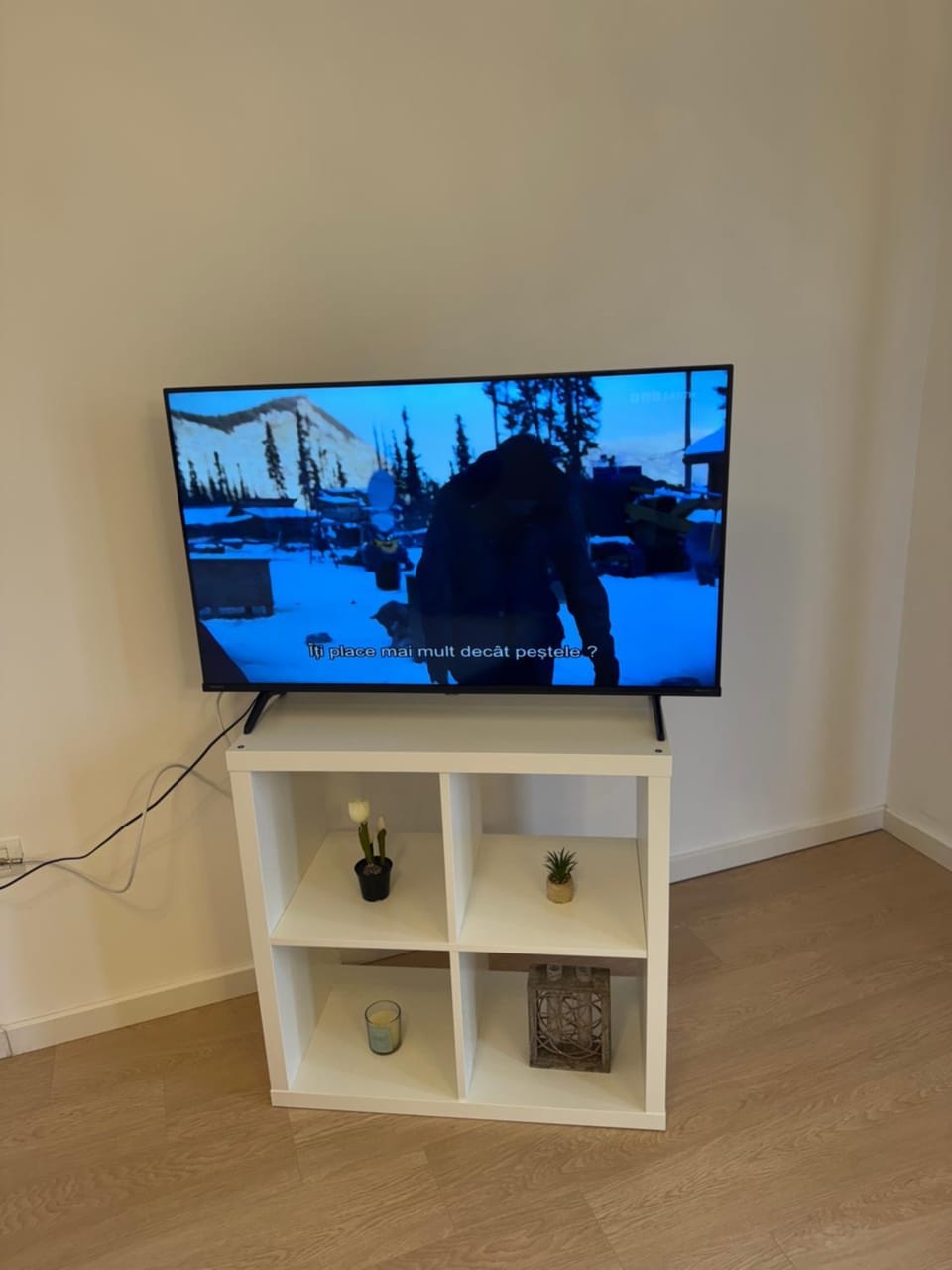 TV and multimedia