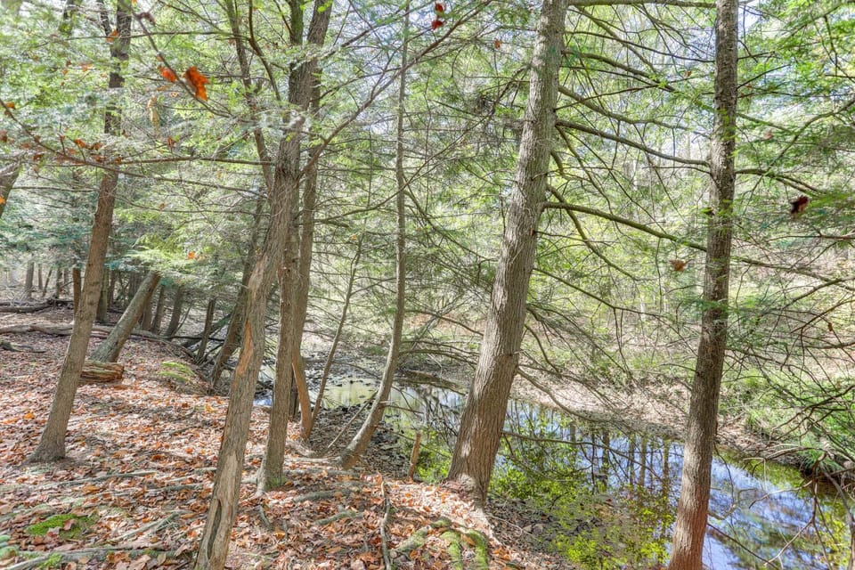 8 Private Acres: Little Mahoning Creek Cabin! Cabin in Allegheny River