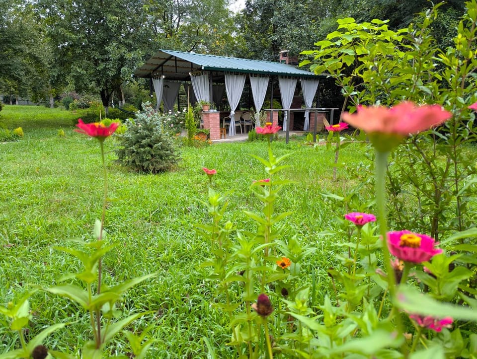 Garden, Seating area, Dining area, Garden view