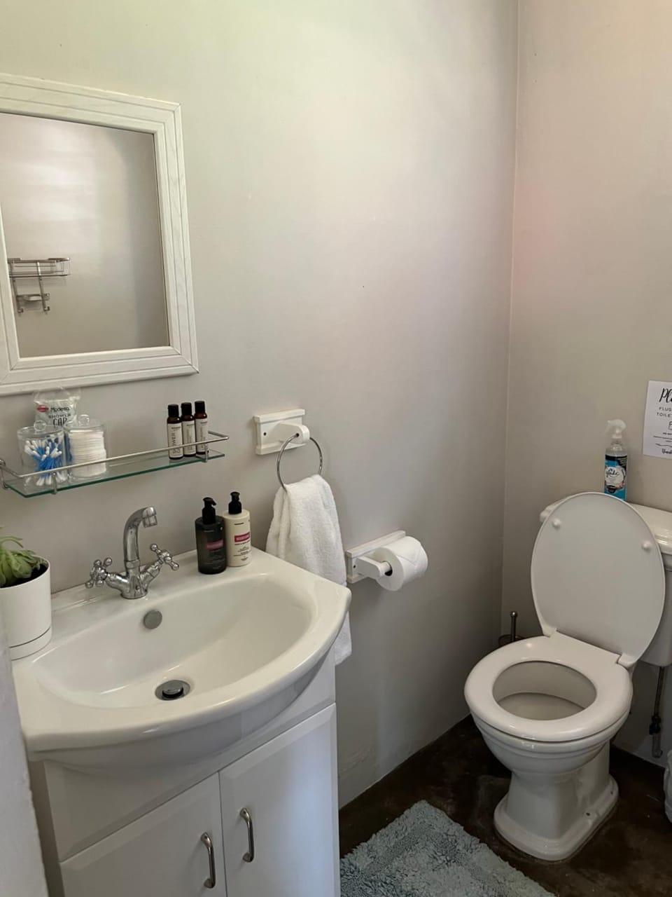 Toilet, Bathroom